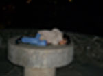 Original pic